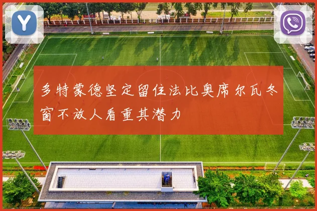 多特蒙德坚定留住法比奥席尔瓦冬窗不放人看重其潜力